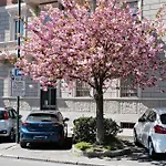 Casa D'azeglio 116 Daire *