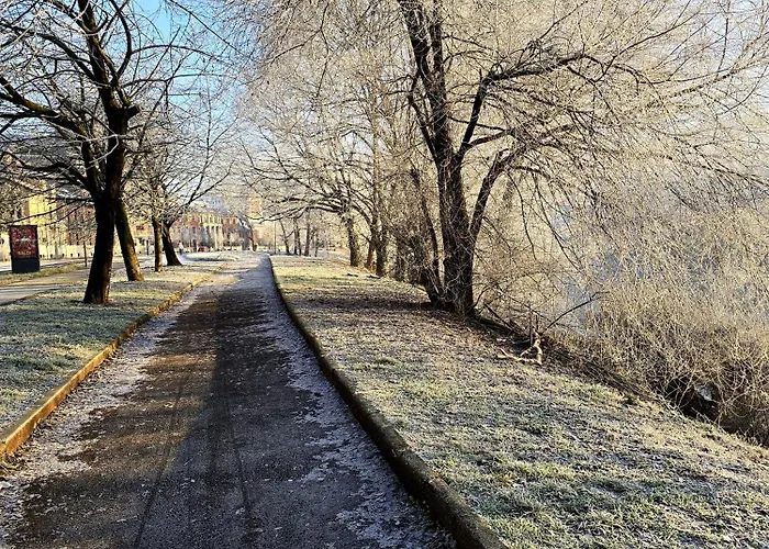Casa D'azeglio 116 Apartment